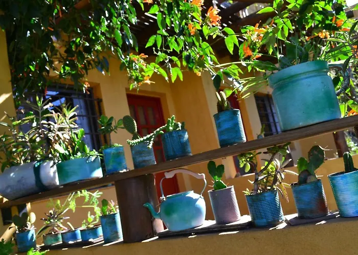 Yatai Casas